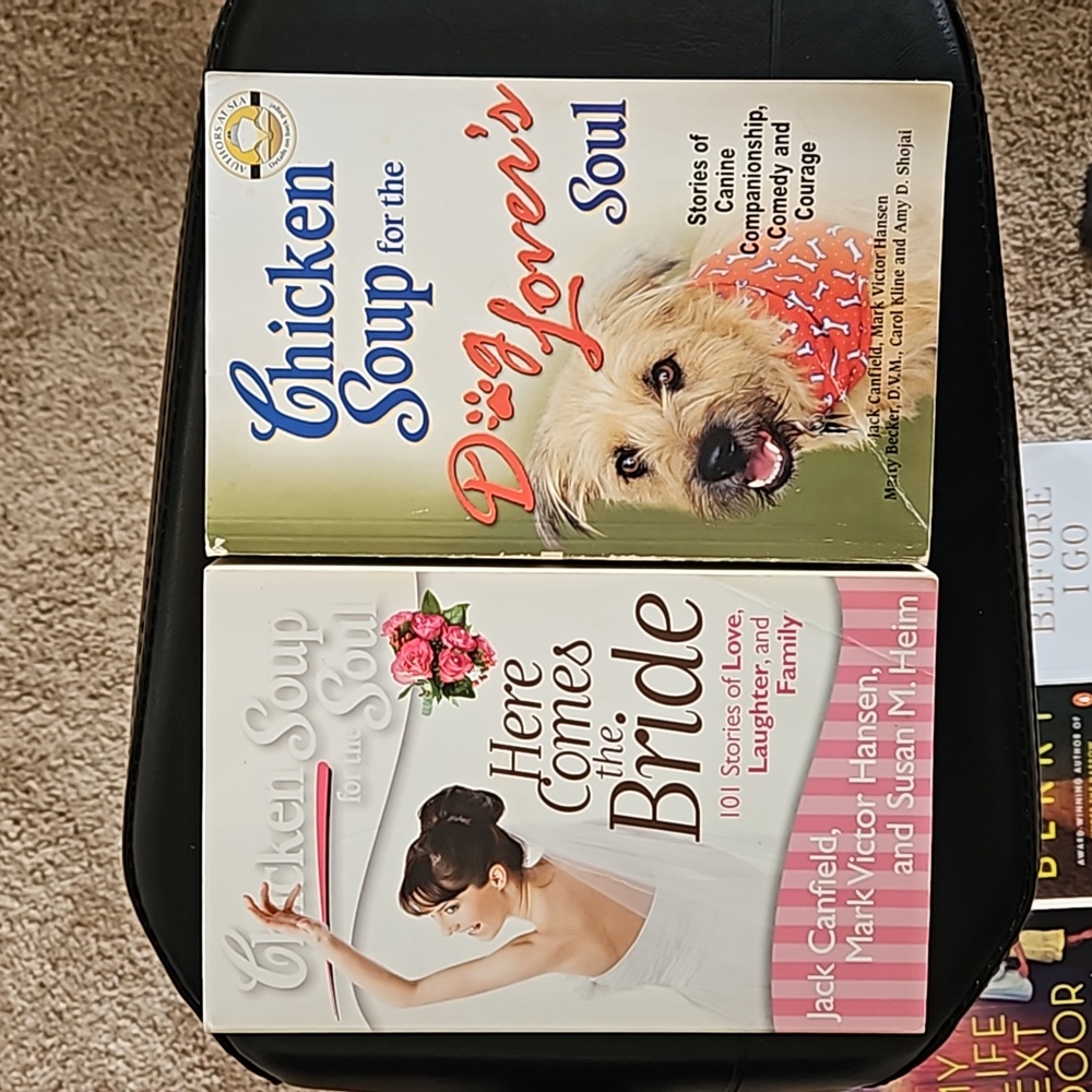 Chicken Soup book bundle
